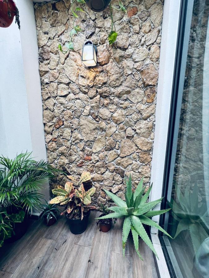 Colibri Mid - Linda Casa En El Centro Historico De メリダ エクステリア 写真
